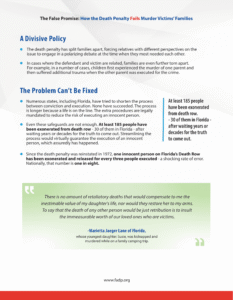 fadp factsheet race Dec2023 2